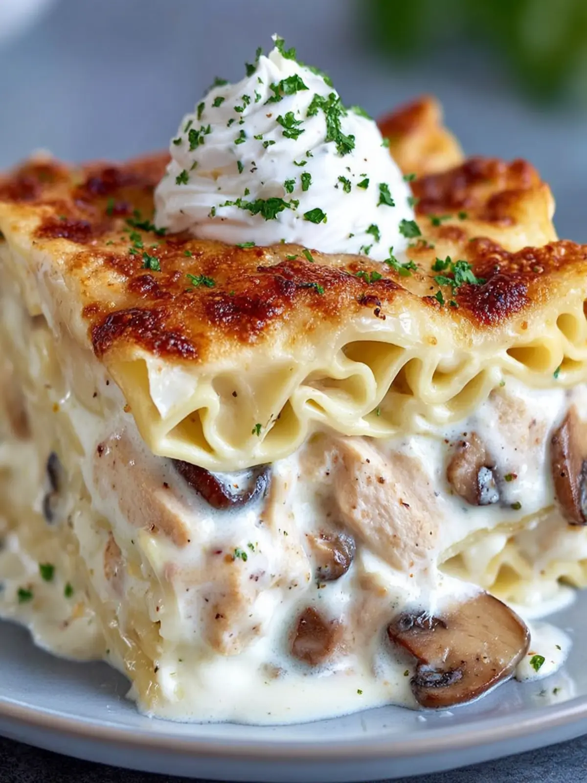 Creamy Mushroom Chicken Lasagna First Image
