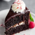 Fudgy Peppermint Chocolate Cake First Image